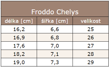 Snímek obrazovky 2024-08-13 141631